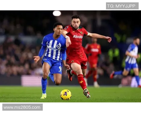 谢菲尔德联对阵狼队比赛预测及分析深度解析