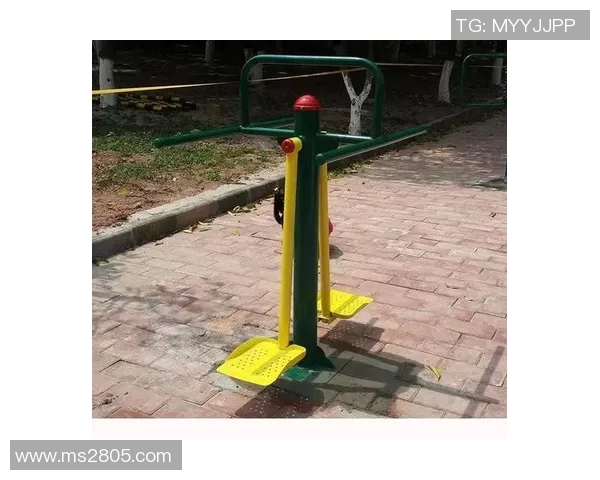 全面解析健身器材的种类选择与使用技巧，助力打造理想身形