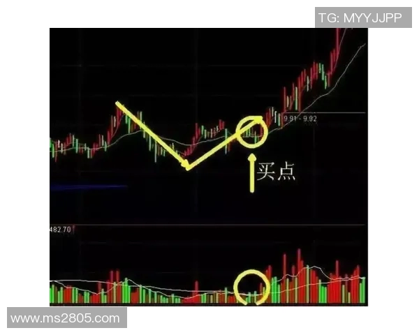 广州飞盘队边路渗透战术解析与实战应用探讨