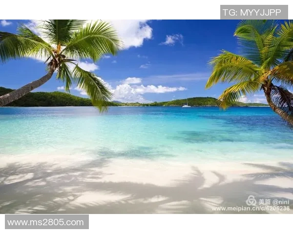 夏日清凉尽显魅力，精选泳衣打造完美海滩风情，轻松享受度假时光