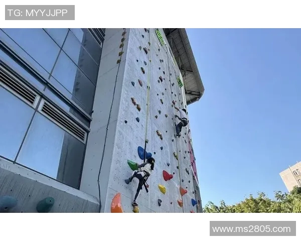 武汉攀岩队如何通过节奏革新提升竞技水平与团队协作能力