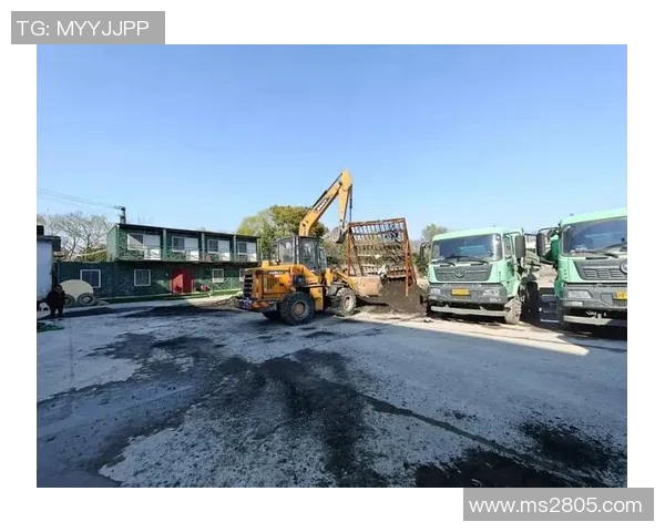 深入分析上海滑板队的运营策略与发展模式探讨