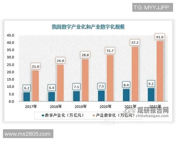 篮球联赛的崛起与发展探索:从全球视野看竞技体育的未来趋势